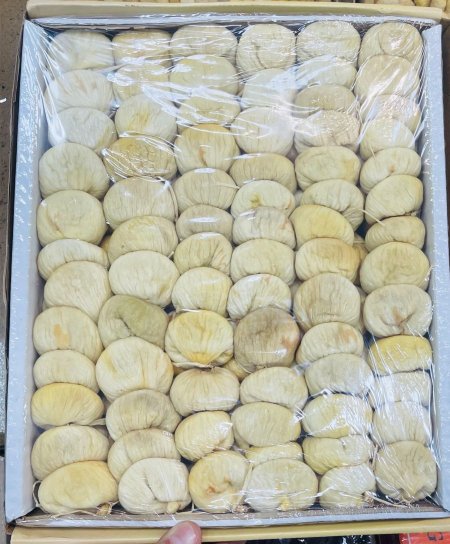 قطين اورجنك