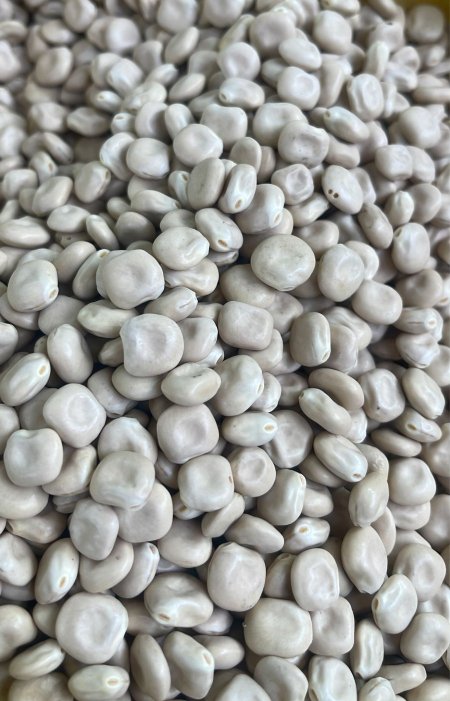 3 كيلو ترمس ( عرض )