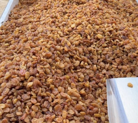 كيلو زبيب صغير ( عرض)