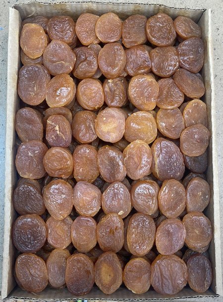 مشمش افغاني