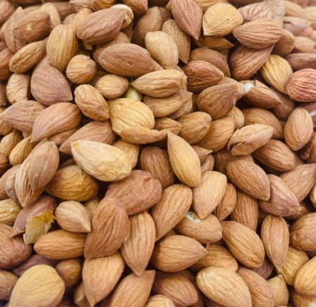 بذور مشمش