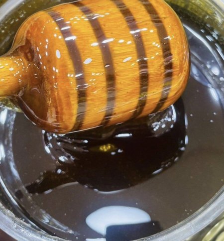 عسل سدر اصلي