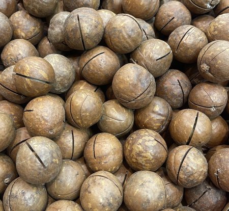 كيلو ماكديميا