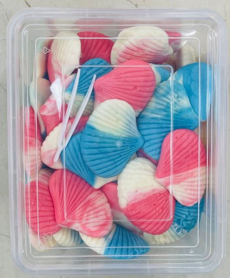 علبة كاندي صدف  (كيلو)