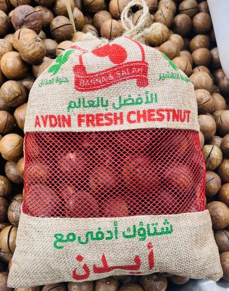 كستنا ايدن التركيه